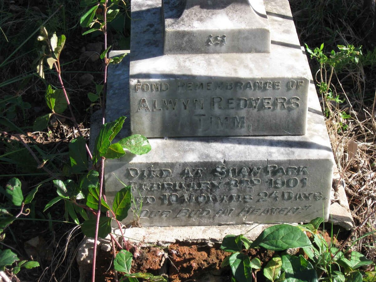 TIMM Alwyn Redvers -1901