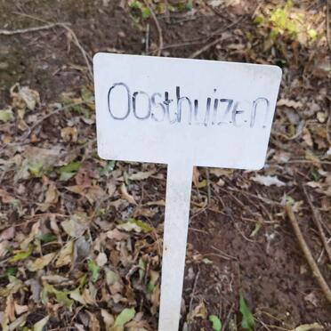 OOSTHUIZEN 