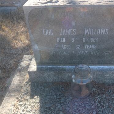 WILLOWS Eric James -1964