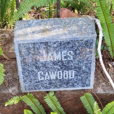 CAWOOD James