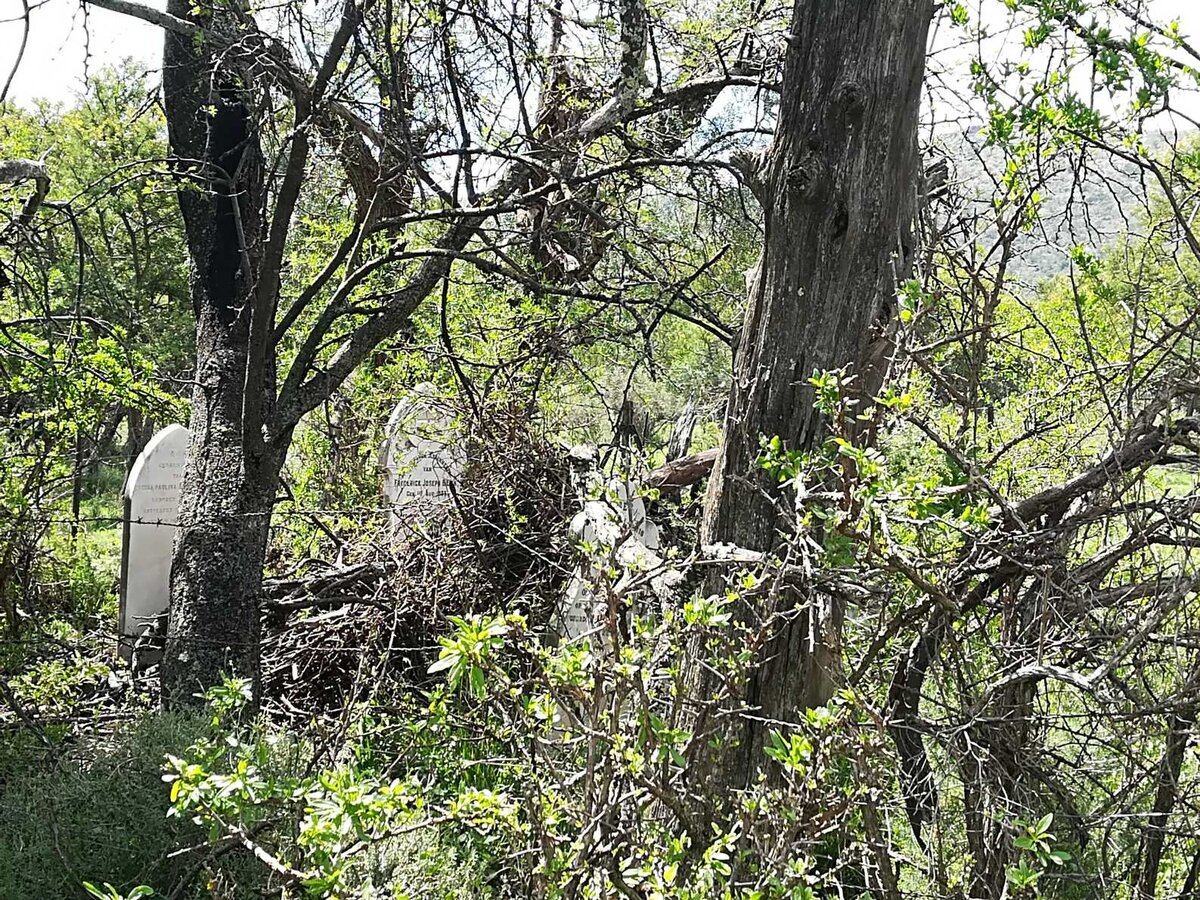 3. Overview / Oorsig