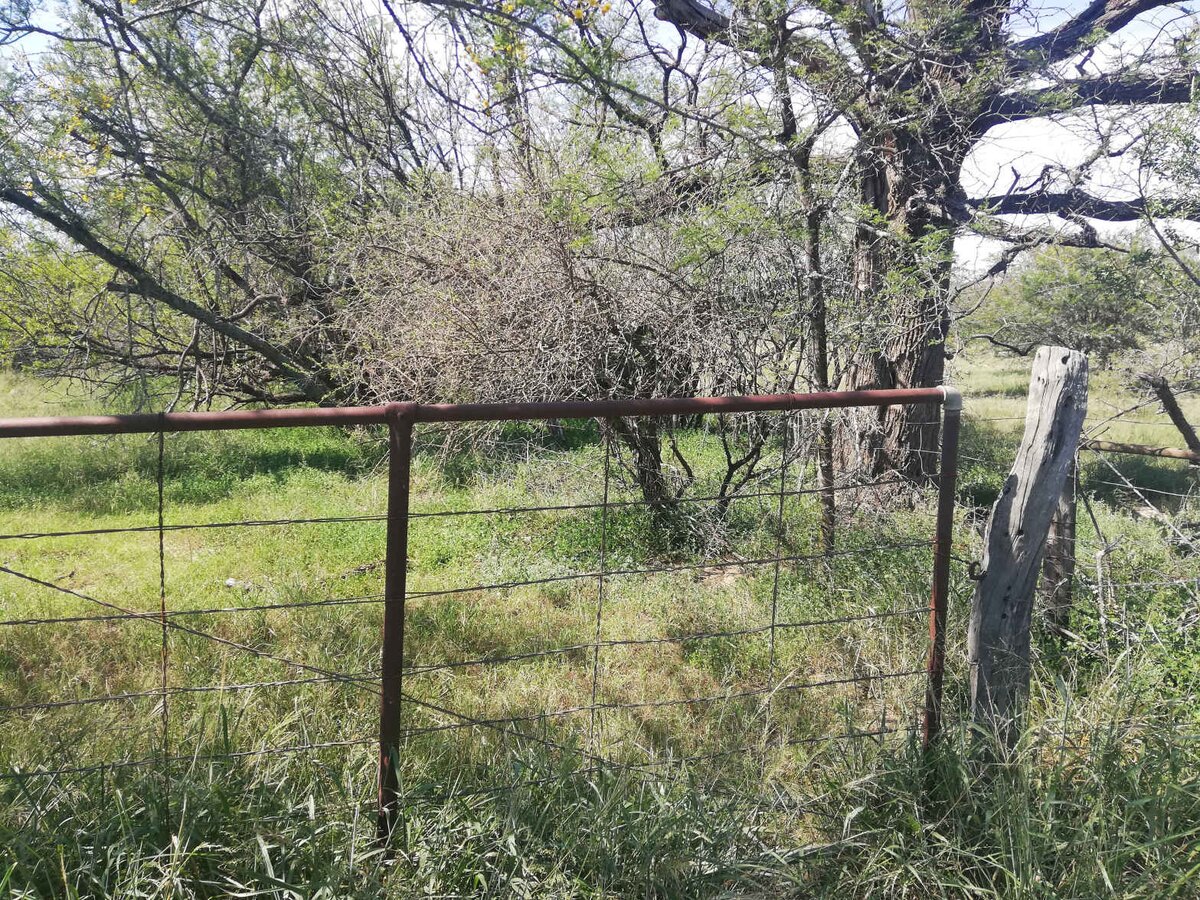 1. Oorsig / Overview