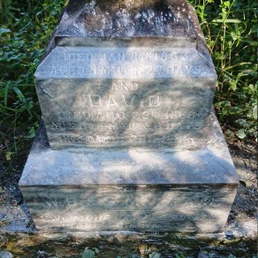 MAPHAM John A. -1863 :: MAPHAM David -1866 