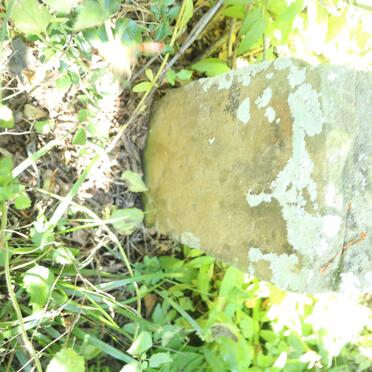 Eastern Cape, BEDFORD district, Spring Grove 112_2, farm cemetery