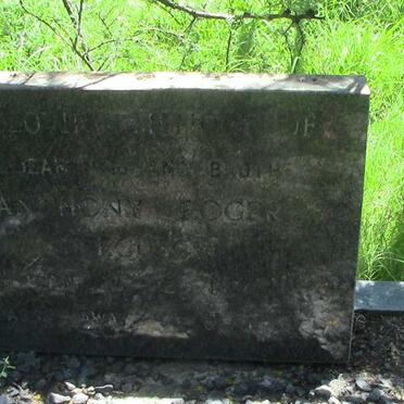 FERGUSON Anthony Roger 