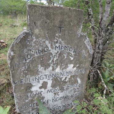 MNCONO Wellington N. 1949-1972