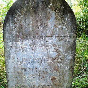 POSTHUMUS Elizabeth Harriet nee TREE 1894-1934