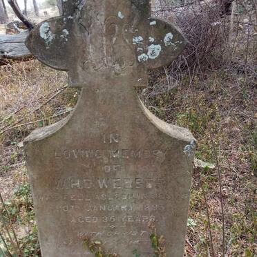 WEBSTER W.H.D. -1895