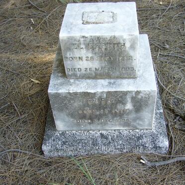 ? Harry -1896 :: ?  Elizabeth 1892-1893