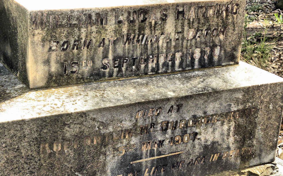 HARDING William Lucas 1870-1907