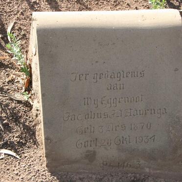 HAVENGA Jacobus J.D. 1870-1934