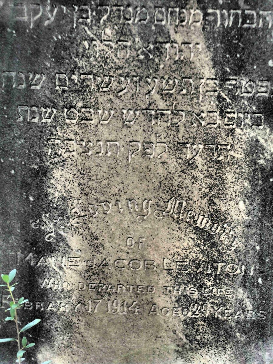 LEVITON Mane Jacob -1914