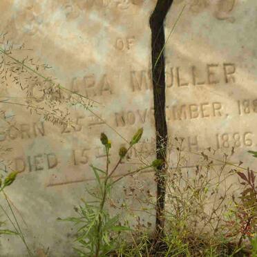 MULLER Clara 1885-1886