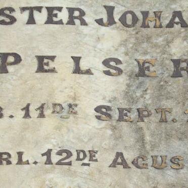 PELSER Hester Johanna 1854-1931