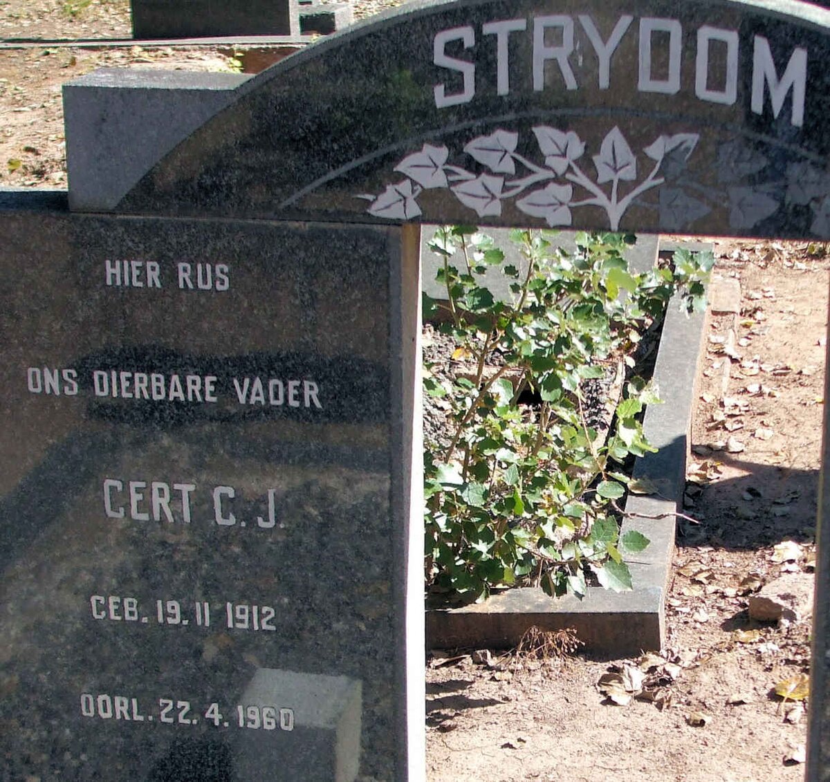 STRYDOM Gert C.J.  1912-1960