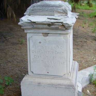 WILLIAMS Daisy -1904