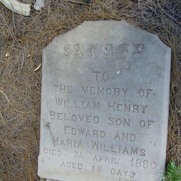 WILLIAMS William Henry -1880