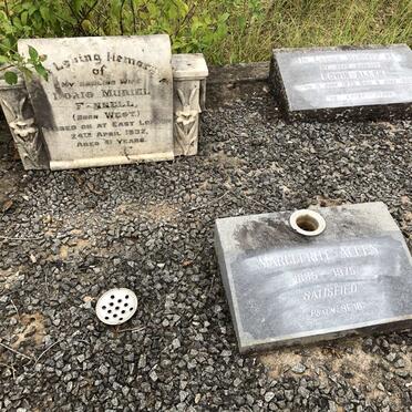 6. Overview FENNELL and ALLEN gravestones