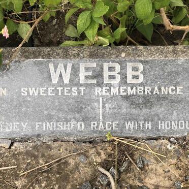 WEBB Bertha 1875-1943 