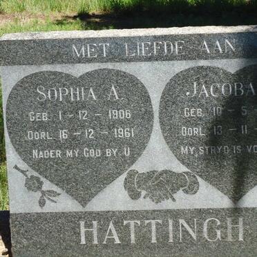 HATTING Sophia A. 1906-1961 :: HATTINGH Jacoba J. 1910-1965