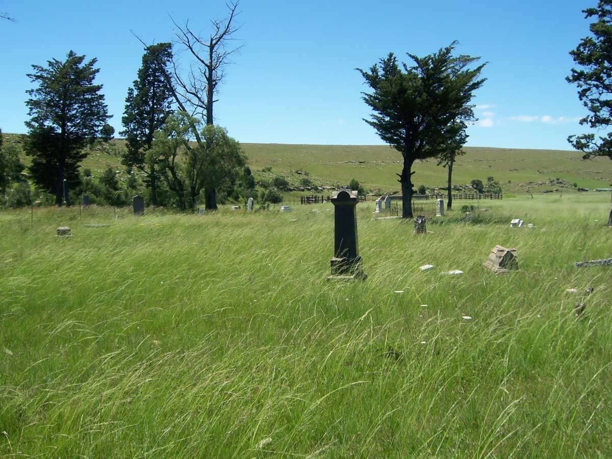 1. Overview of Cathcart Old Cemetery