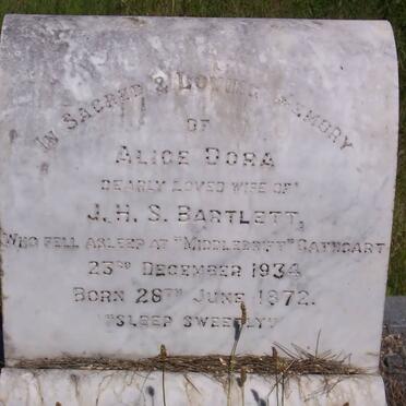BARTLETT Alice Dora 1872-1934