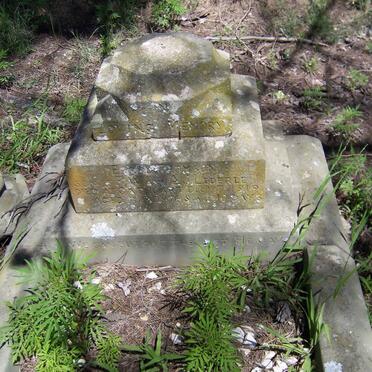 LEDERLE Errol Thomson -1919