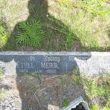 MEIER Amyl -1960 &amp; Ethel -1960