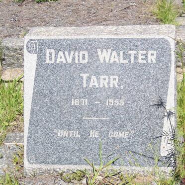 TARR David Walter 1871-1955