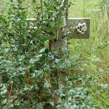 JAMES William Irvine -1914