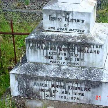 GIBBENS Lavinia nee BAXTER 1837-1915 :: GIBBENS Alice Annie 1872-1875