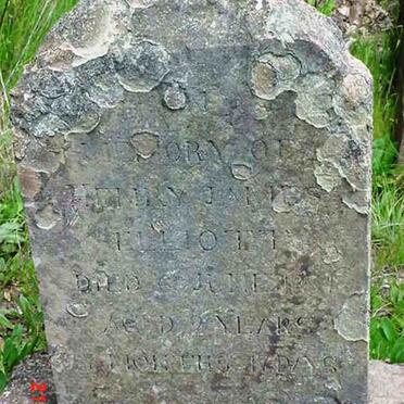 ELLIOTT Henry James -1884