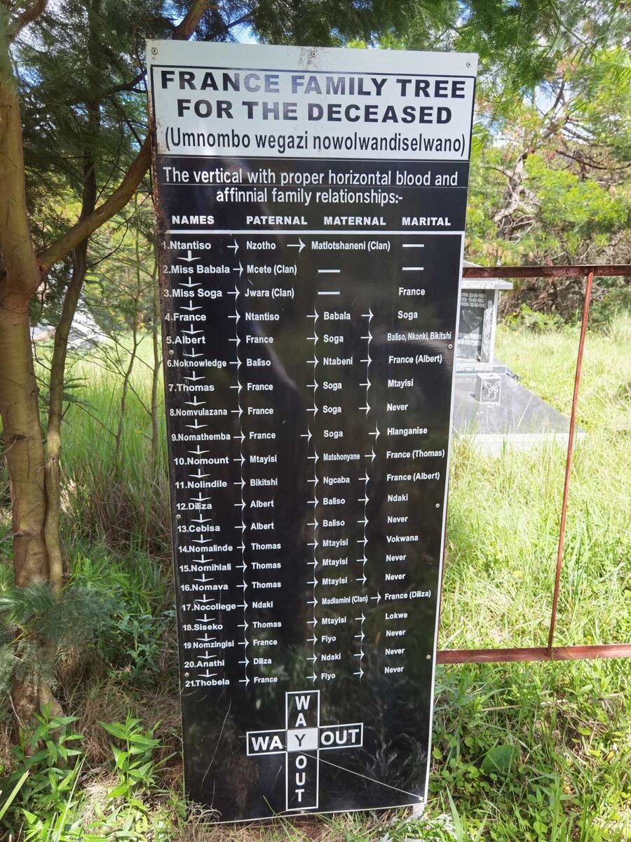 3. FRANCE family tree for the deceased