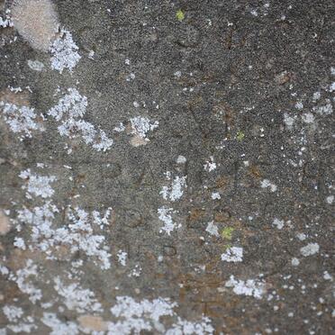 HAEUTLE Henry Orten -187? &amp; Francis -18??