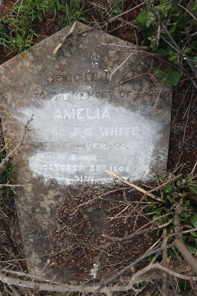 WHITE Amelia 1804-1884