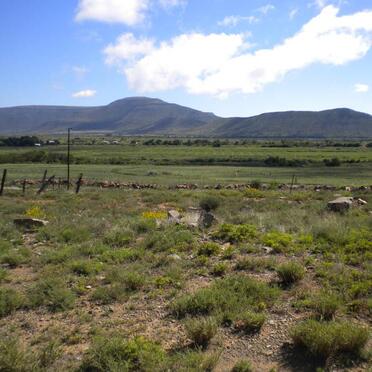 1. Oorsig / Overview