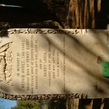 A - Surnames :: Vanne - A