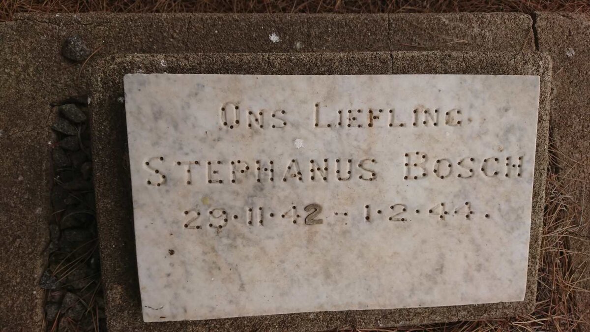 BOSCH Stephanus 1942-1944