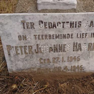 HAARHOFF Pieter Johannes 1945-1945