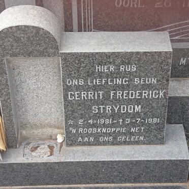 STRYDOM Gerrit Frederick 1981-1981