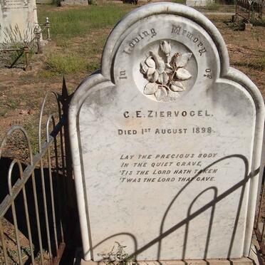 ZIERVOGEL C.E. -1898