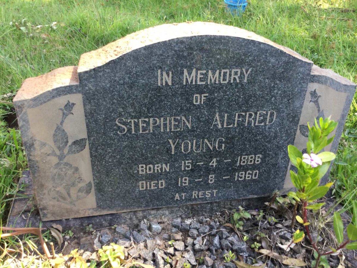 YOUNG Stephen Alfred 1886-1960