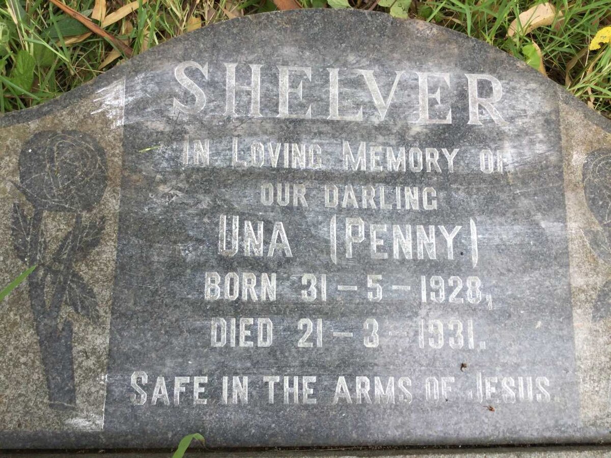 SHELVER Una 1928-1931
