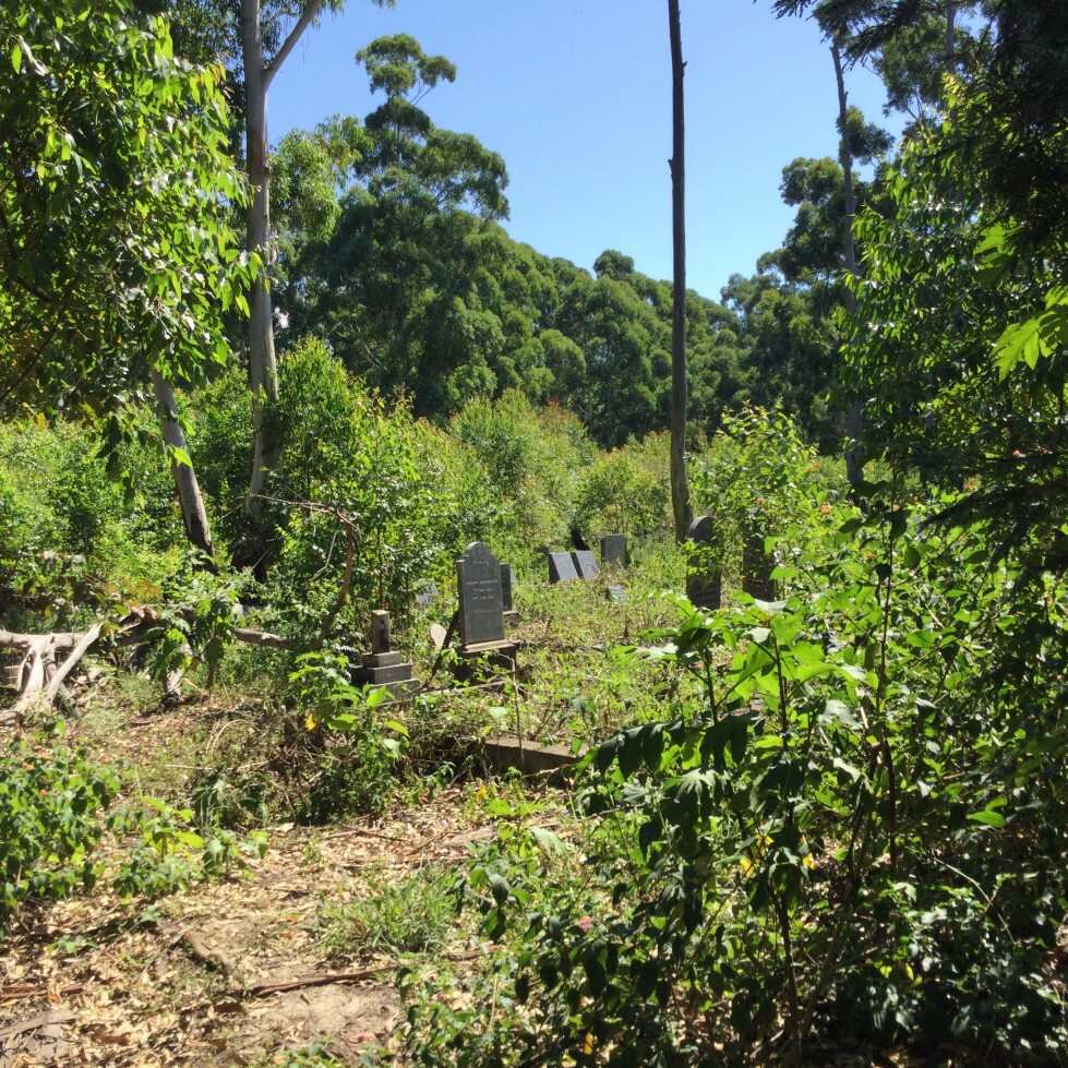 2. Overview / Oorsig