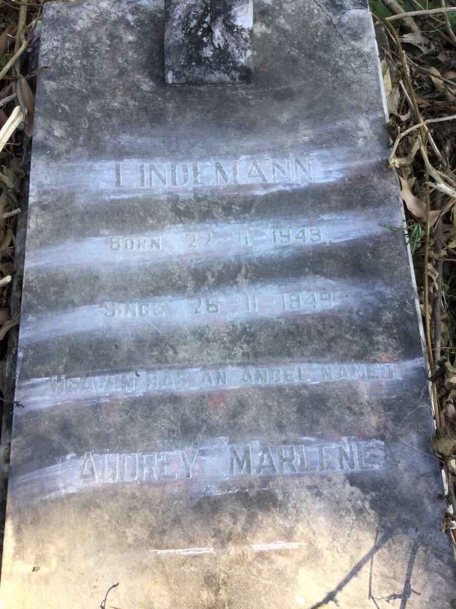 LINDEMANN Audrey Marlene 1949-1949