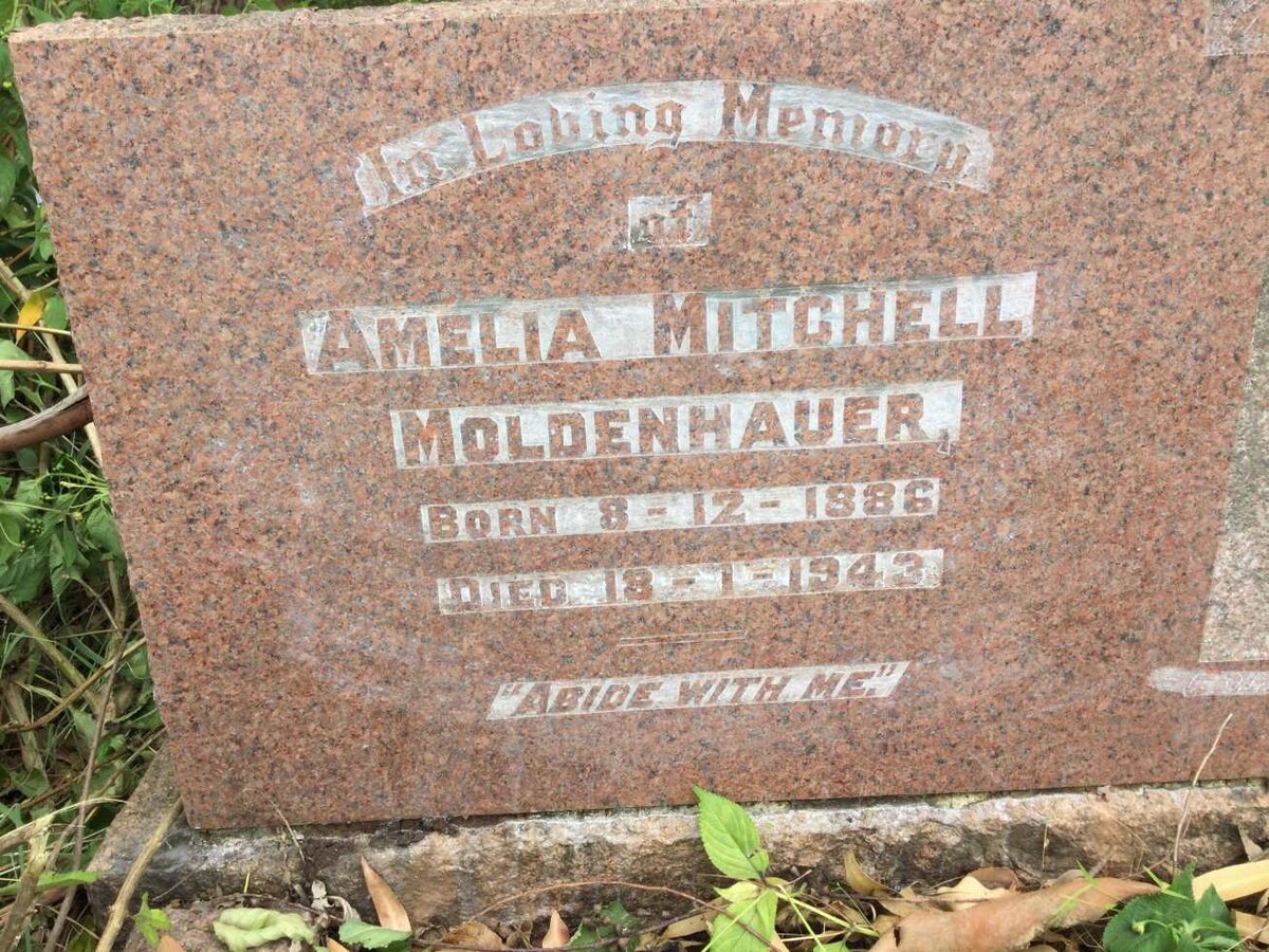 MOLDENHAUER Amelia Mitchell 1886-1943