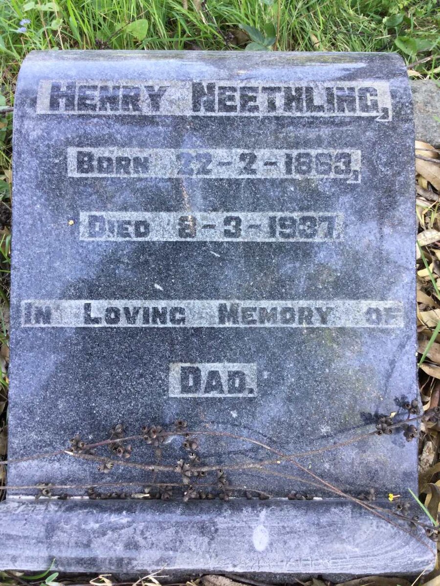 NEETHLING Henry 1863-1937