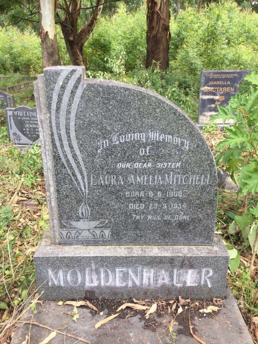 MOLDENHAUER Laura Amelia Mitchell 1908-1954