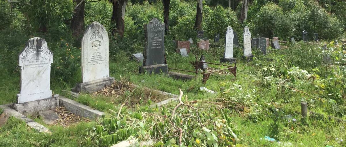 3. Overview / Oorsig