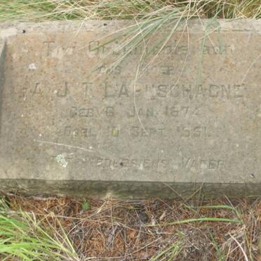 LABUSCHAGNE A.J.T. 1874-1951